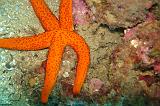 2009-09-07 10-38-43Li